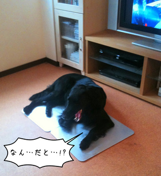 なん...だと...！？